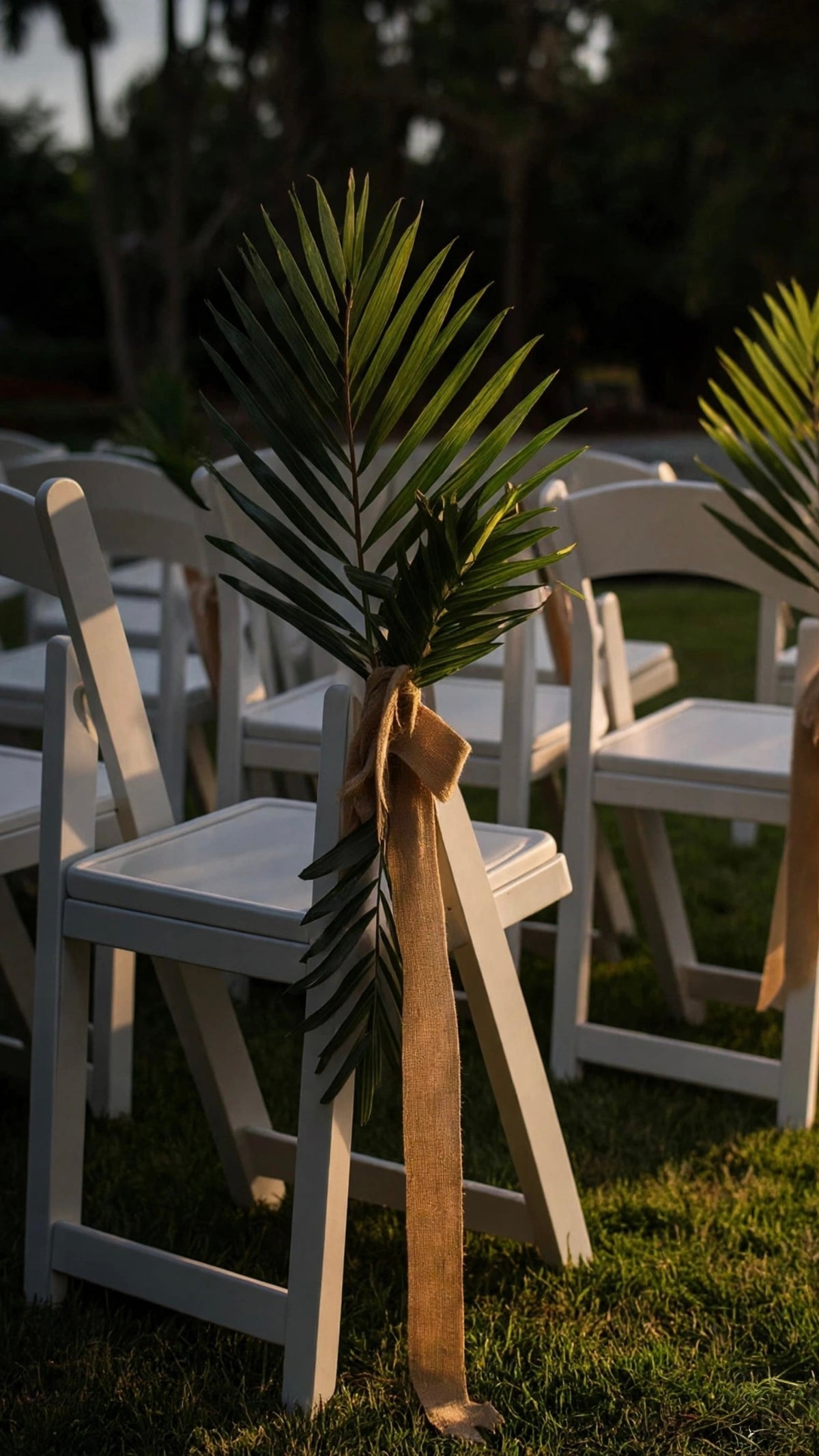 White Chairs